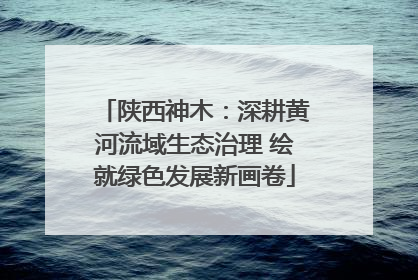 陕西神木：深耕黄河流域生态治理 绘就绿色发展新画卷