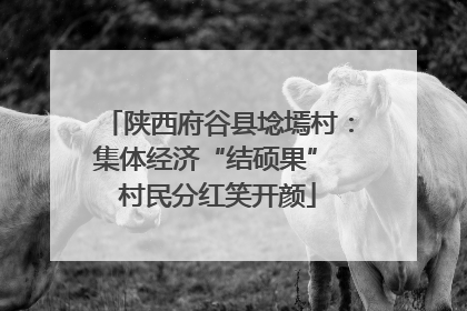 陕西府谷县埝墕村：集体经济“结硕果” 村民分红笑开颜