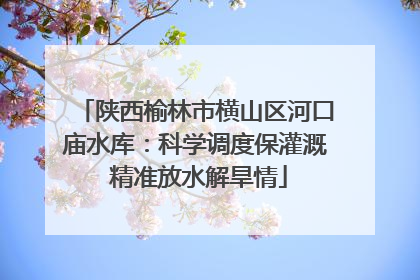 陕西榆林市横山区河口庙水库：科学调度保灌溉 精准放水解旱情