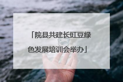 院县共建长豇豆绿色发展培训会举办