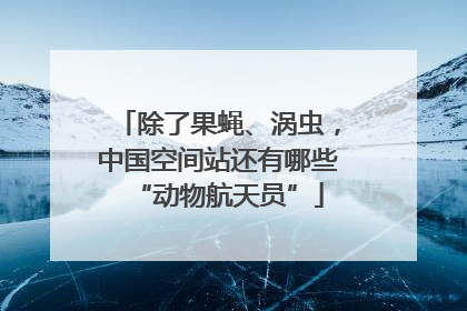 除了果蝇、涡虫，中国空间站还有哪些“动物航天员”