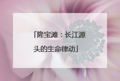 隆宝滩：长江源头的生命律动