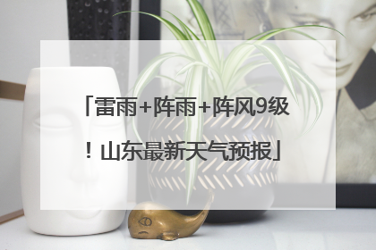 雷雨+阵雨+阵风9级！山东最新天气预报
