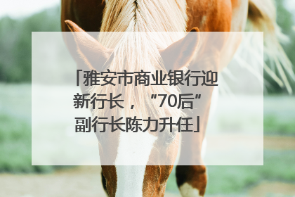 雅安市商业银行迎新行长，“70后”副行长陈力升任