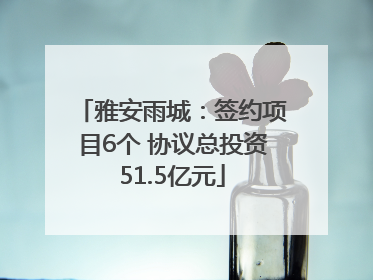 雅安雨城：签约项目6个 协议总投资51.5亿元
