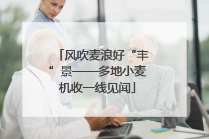 风吹麦浪好“丰”景——多地小麦机收一线见闻