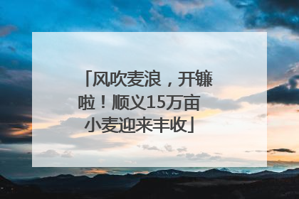 风吹麦浪，开镰啦！顺义15万亩小麦迎来丰收