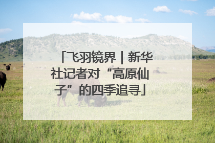 飞羽镜界｜新华社记者对“高原仙子”的四季追寻