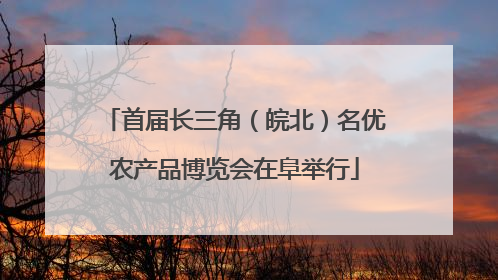 首届长三角（皖北）名优农产品博览会在阜举行