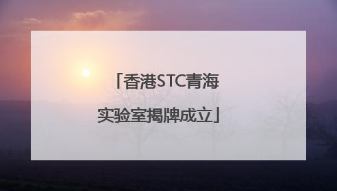 香港STC青海实验室揭牌成立