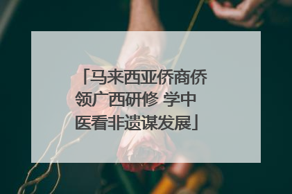 马来西亚侨商侨领广西研修 学中医看非遗谋发展