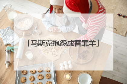 马斯克抱怨成替罪羊