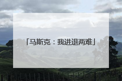 马斯克：我进退两难