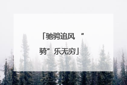 驰骋追风 “骑”乐无穷