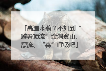 高温来袭？不如到“避暑顶流”金洞登山、漂流、“森”呼吸吧