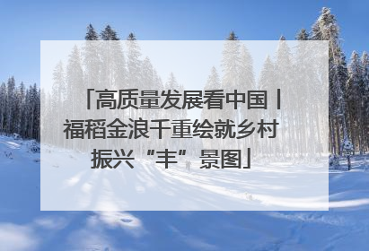 高质量发展看中国丨福稻金浪千重绘就乡村振兴“丰”景图