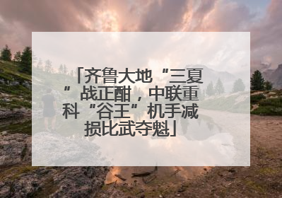 齐鲁大地“三夏”战正酣，中联重科“谷王”机手减损比武夺魁