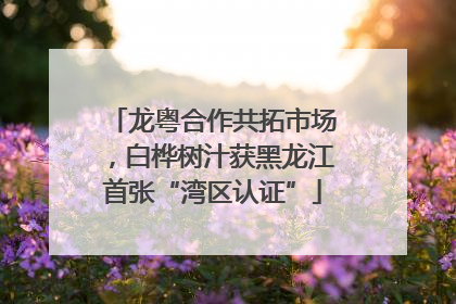 龙粤合作共拓市场，白桦树汁获黑龙江首张“湾区认证”