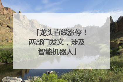 龙头直线涨停！两部门发文，涉及智能机器人