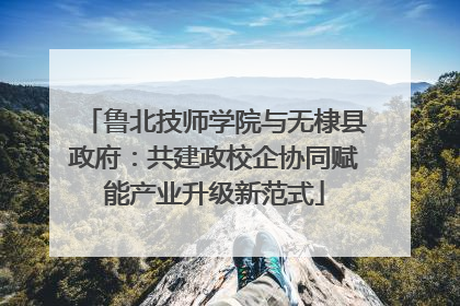 鲁北技师学院与无棣县政府：共建政校企协同赋能产业升级新范式