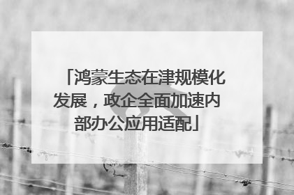鸿蒙生态在津规模化发展，政企全面加速内部办公应用适配