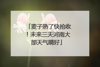 麦子熟了快抢收！未来三天河南大部天气晴好