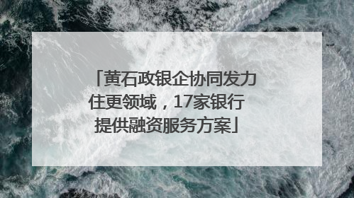 黄石政银企协同发力住更领域，17家银行提供融资服务方案