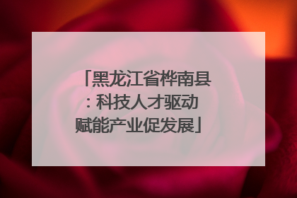 黑龙江省桦南县：科技人才驱动 赋能产业促发展