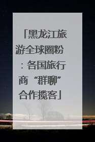 黑龙江旅游全球圈粉：各国旅行商“群聊”合作揽客