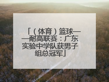 （体育）篮球——耐高联赛：广东实验中学队获男子组总冠军