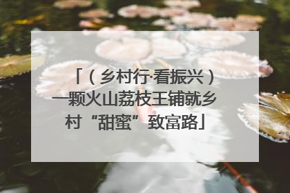 （乡村行·看振兴）一颗火山荔枝王铺就乡村“甜蜜”致富路