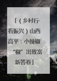 （乡村行·看振兴）山西高平：小辣椒“椒”出致富新答卷