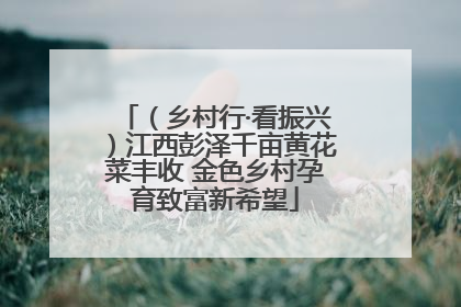 （乡村行·看振兴）江西彭泽千亩黄花菜丰收 金色乡村孕育致富新希望