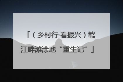 （乡村行·看振兴）赣江畔滩涂地“重生记”