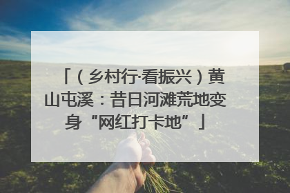 （乡村行·看振兴）黄山屯溪：昔日河滩荒地变身“网红打卡地”