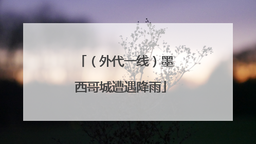 （外代一线）墨西哥城遭遇降雨