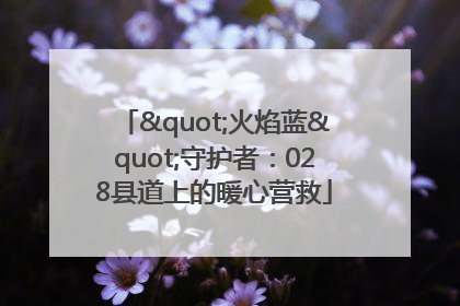 "火焰蓝"守护者：028县道上的暖心营救