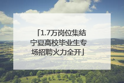 1.7万岗位集结 宁夏高校毕业生专场招聘火力全开