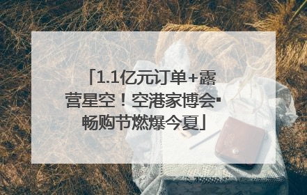 1.1亿元订单+露营星空！空港家博会▪畅购节燃爆今夏