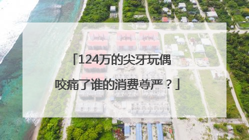 124万的尖牙玩偶 咬痛了谁的消费尊严？
