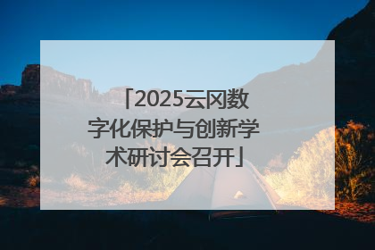 2025云冈数字化保护与创新学术研讨会召开