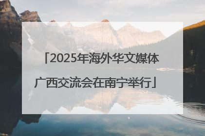 2025年海外华文媒体广西交流会在南宁举行