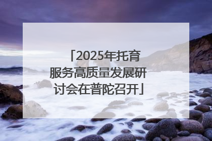 2025年托育服务高质量发展研讨会在普陀召开