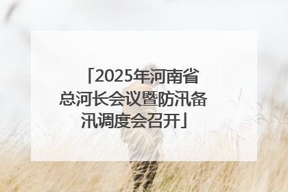 2025年河南省总河长会议暨防汛备汛调度会召开