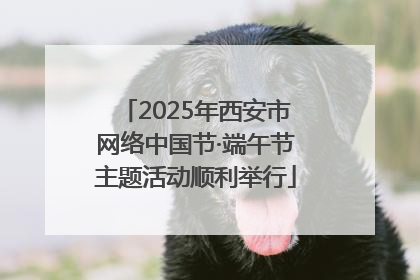 2025年西安市网络中国节·端午节主题活动顺利举行
