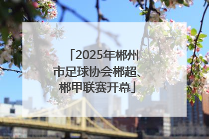 2025年郴州市足球协会郴超、郴甲联赛开幕