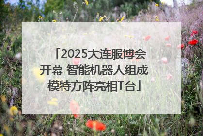 2025大连服博会开幕 智能机器人组成模特方阵亮相T台