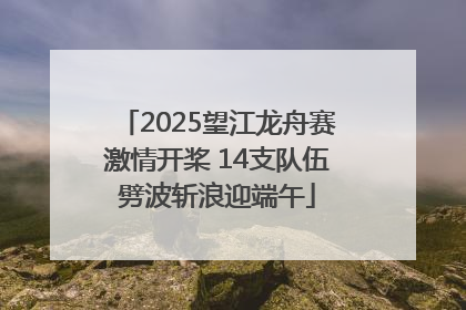 2025望江龙舟赛激情开桨 14支队伍劈波斩浪迎端午