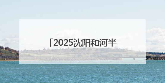 2025沈阳和河半程马拉松即将开赛 辽宁平安产险全程护航