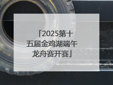 2025第十五届金鸡湖端午龙舟赛开赛